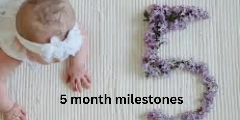 5 Month milestones activity
