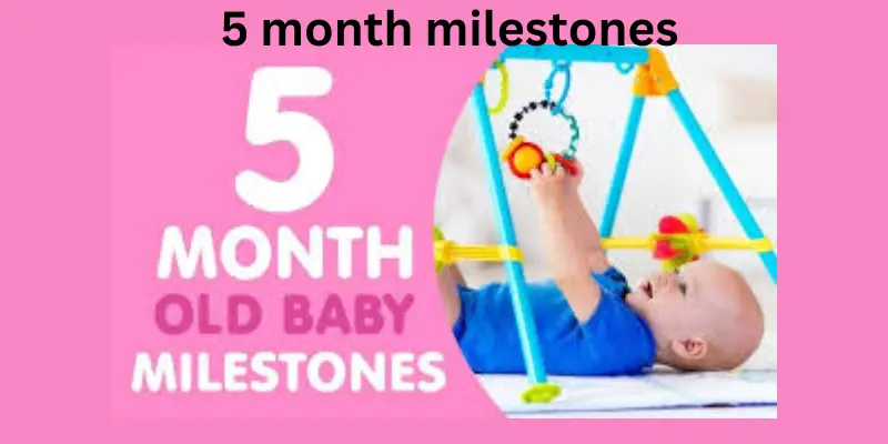 5 Month milestones progress