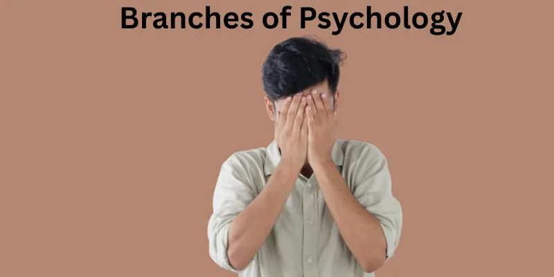 Branches of psychology and effect