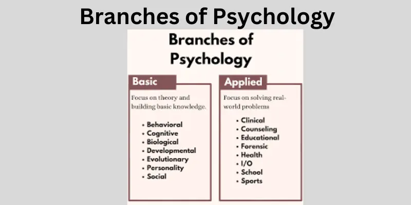 Branches of psychology and uses