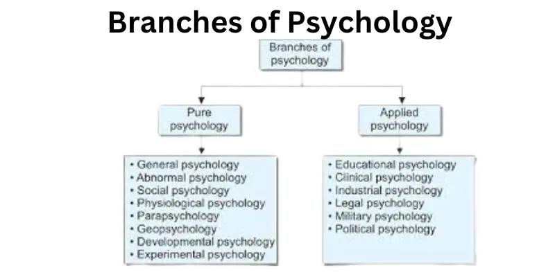 Branches of psychology in field