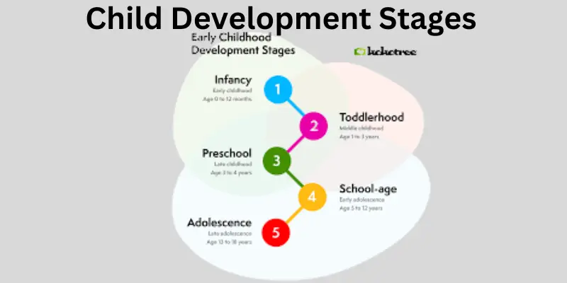 Child development stages view