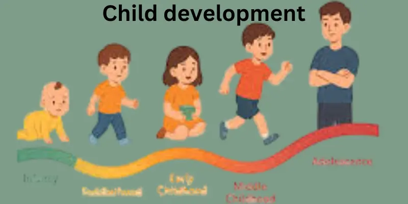 Child development stages