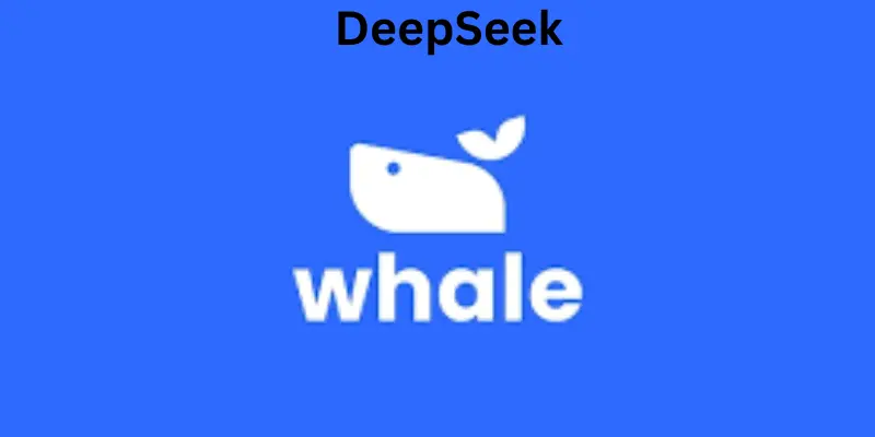 deepseek information 1 deepseek information 1