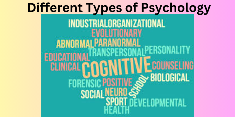 different types of psychology in practice Different types of psychology in practice