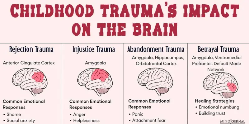 How childhood trauma affects brain development