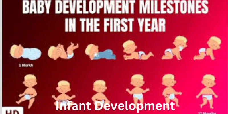 Infant development stages