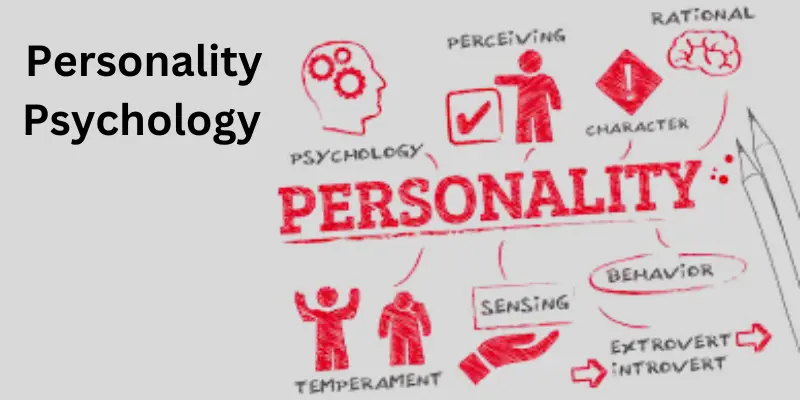 Personality psychology process