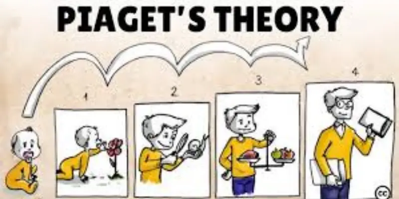 Piaget stages of development