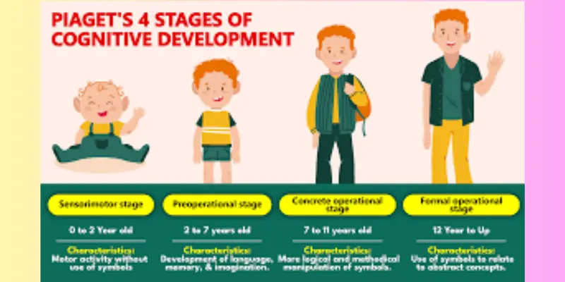 Piaget stages of development structure