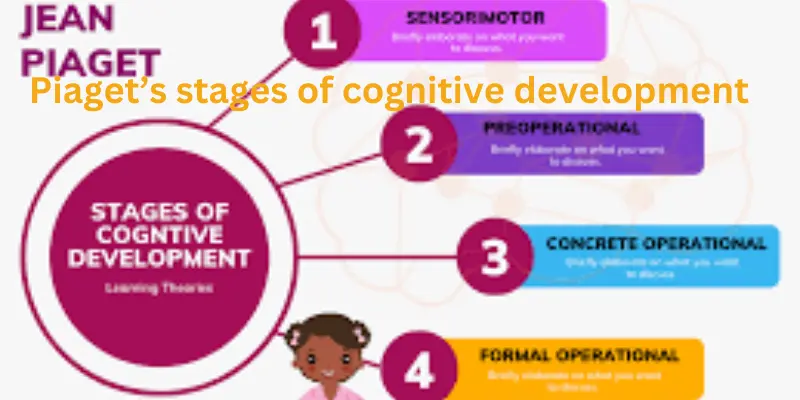 Piaget’s stages of cognitive development
