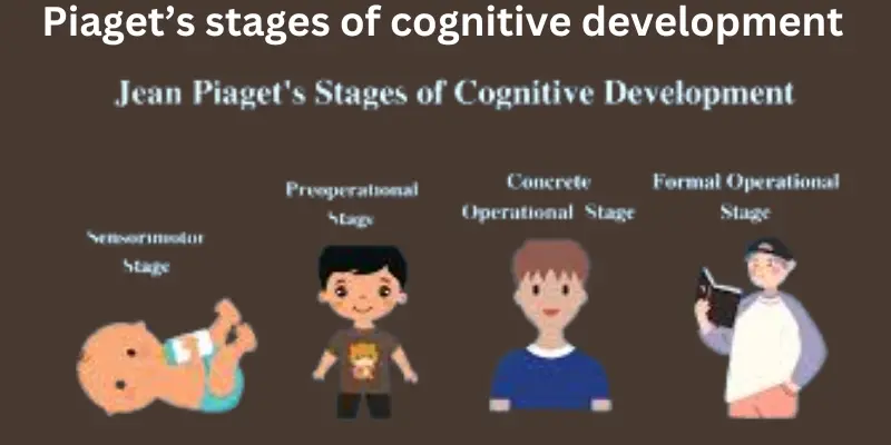 Piaget’s stages of cognitive developments