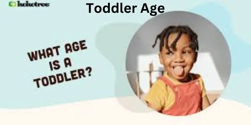 Toddler age