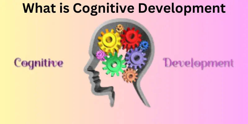What is cognitive development process